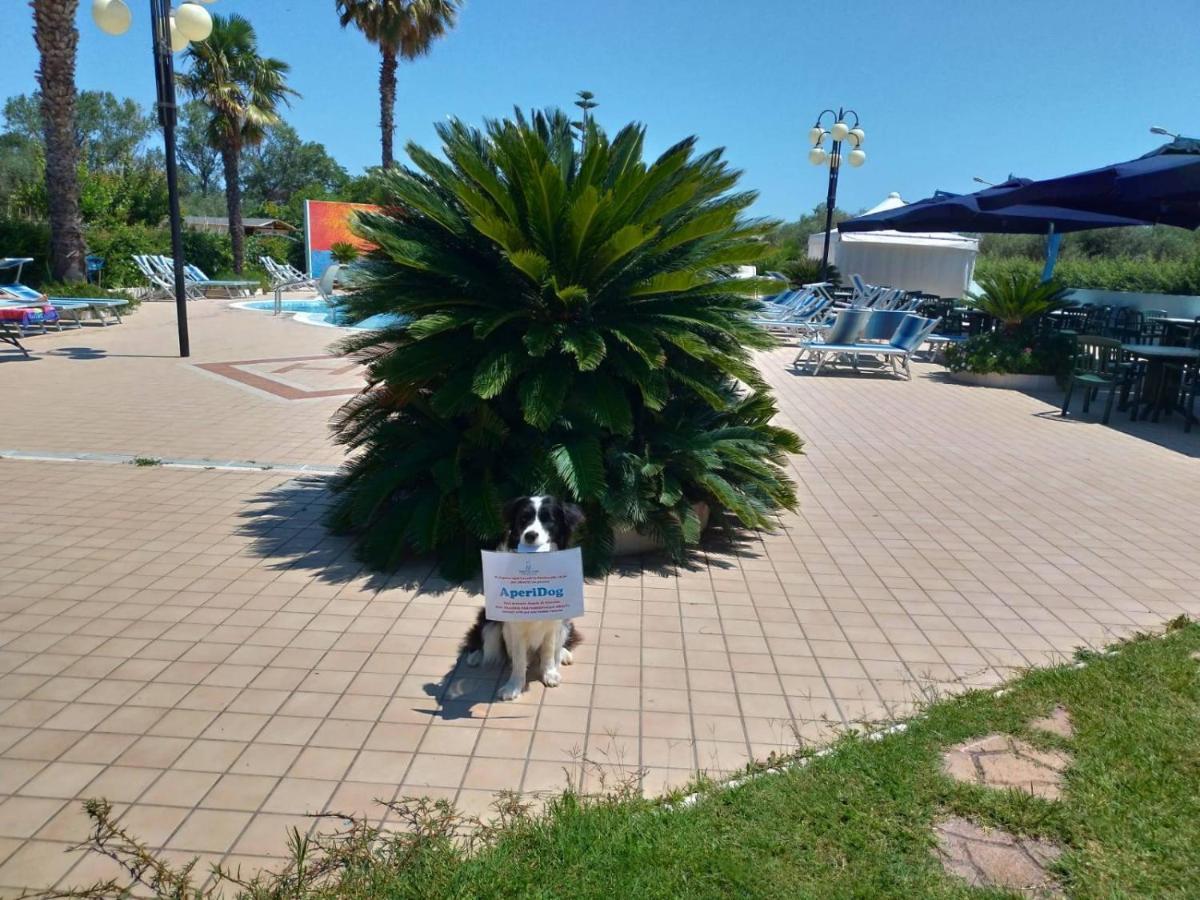Hotel Marina Розето дели Абруци Екстериор снимка